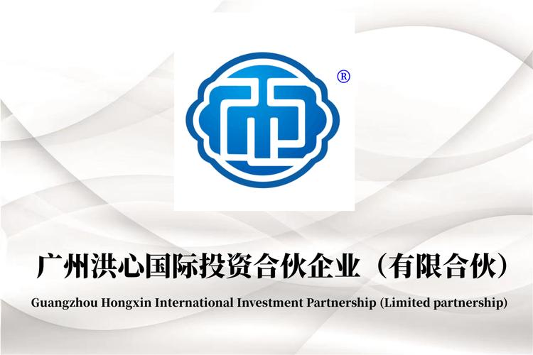 以自有资金从事投资活动 企业对外投资的策略与风险管理